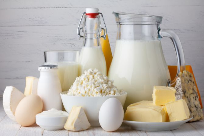 Assorted dairy products including milk, cheese, yogurt, and butter—key items in the perishable foods list between the U.S. and Mexico