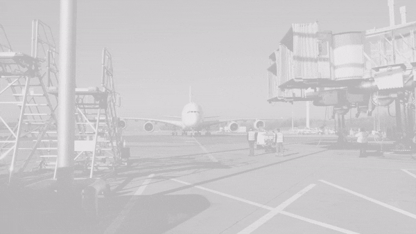 charter cargo
