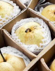 AdobeStock 151563998